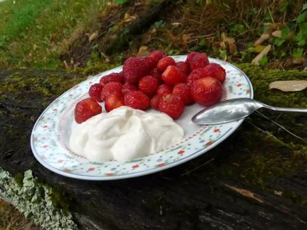 Un pur moment de gourmandise : Crème végétale épaisse - photo 3