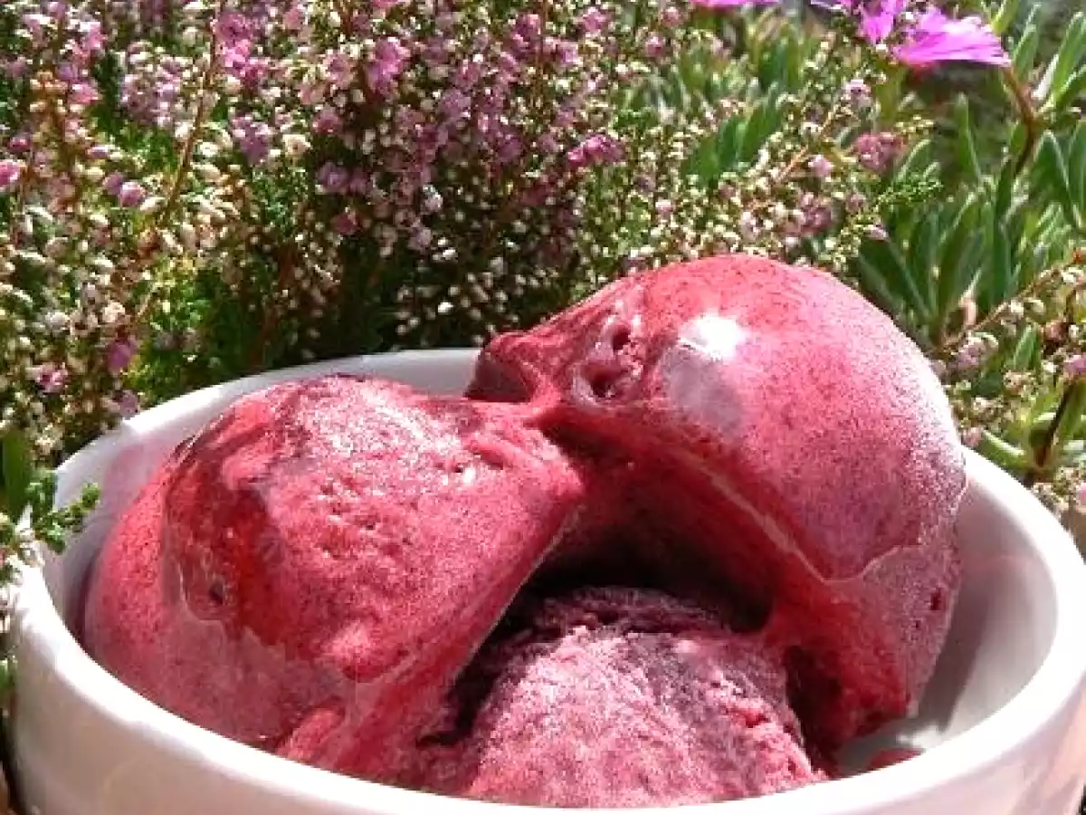 Un sorbet au cassis, plus jamais sans glucose !