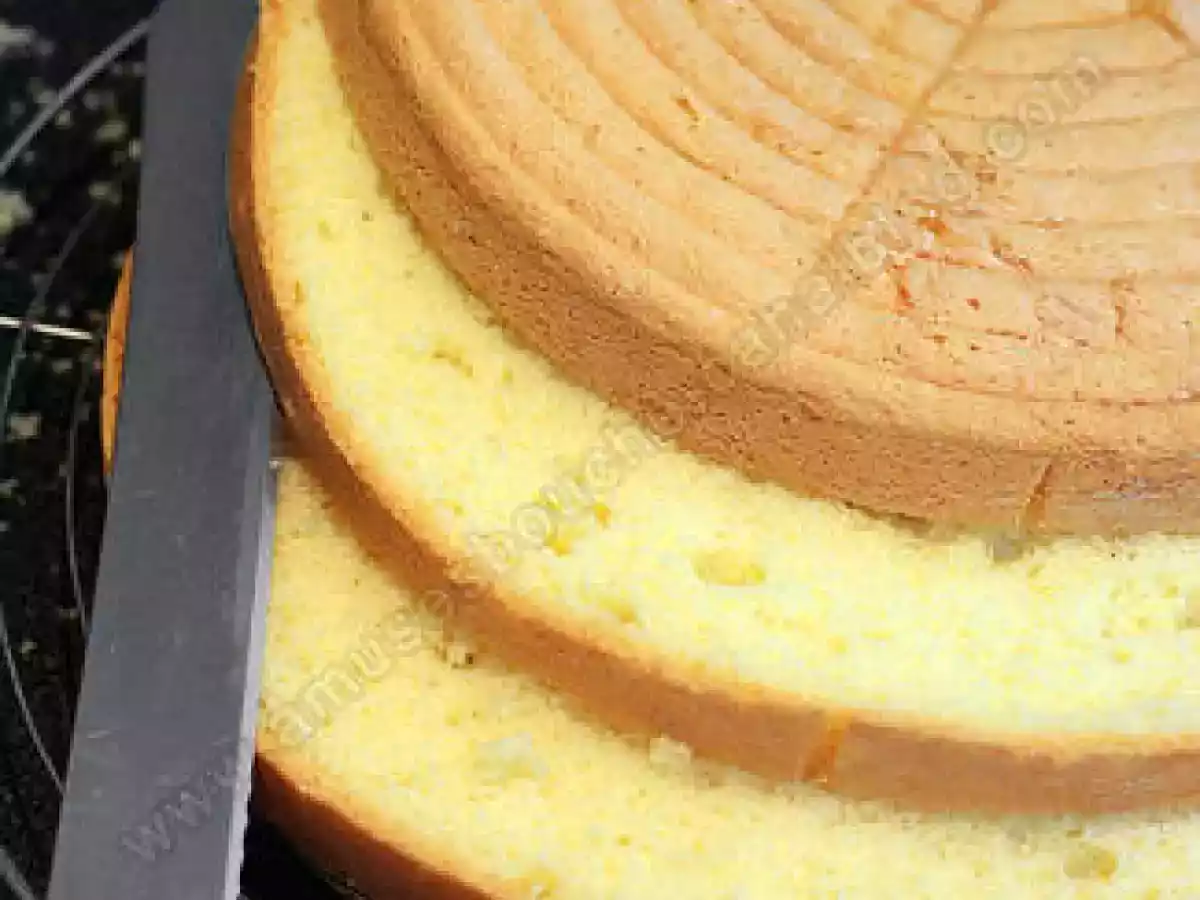 Une génoise poids plume - photo 2