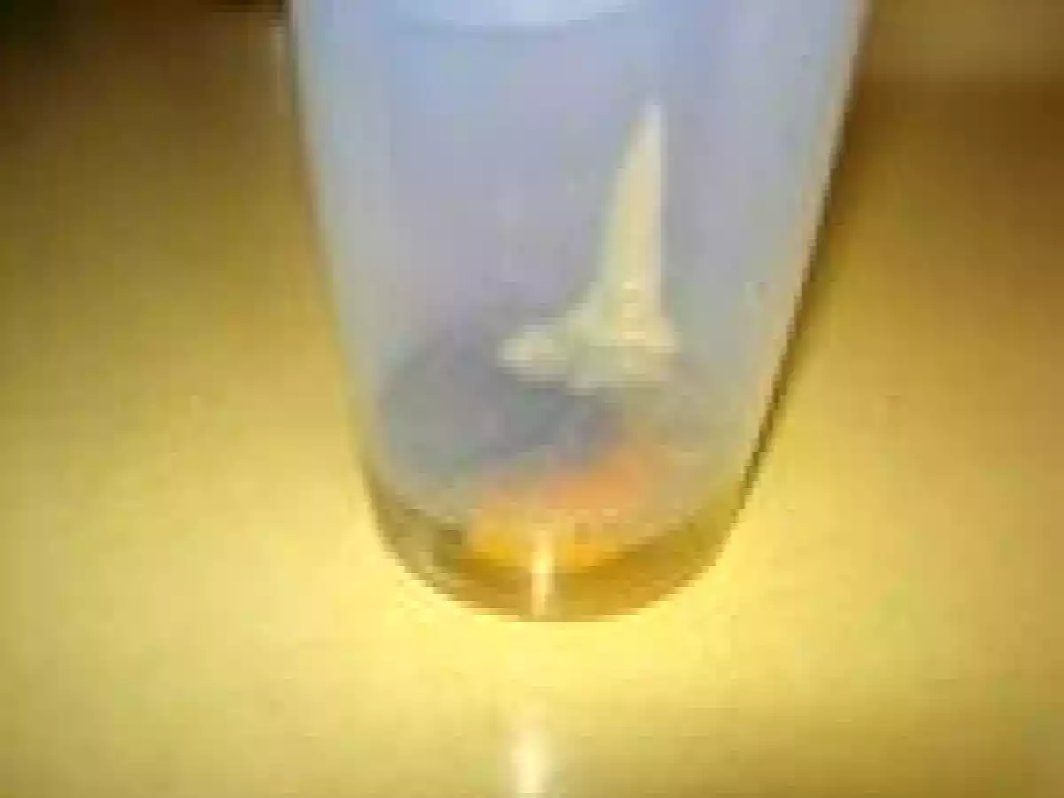 Une mayonnaise maison ferme et veloutée en moins de 2 minutes !!! - photo 2