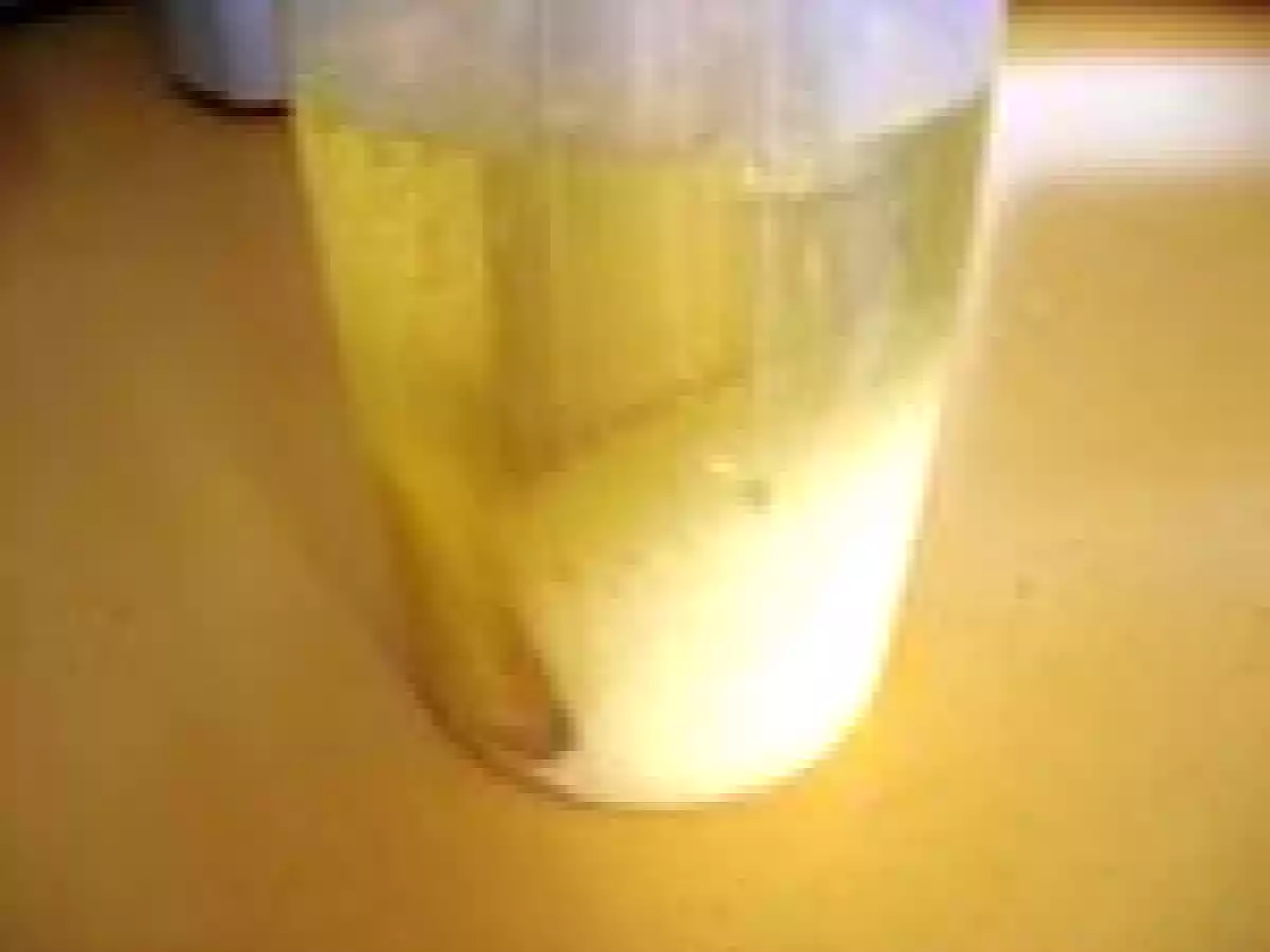 Une mayonnaise maison ferme et veloutée en moins de 2 minutes !!! - photo 3