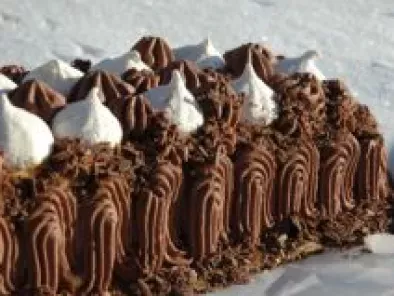 Vacherin glacé enrobée de chantilly chocolat