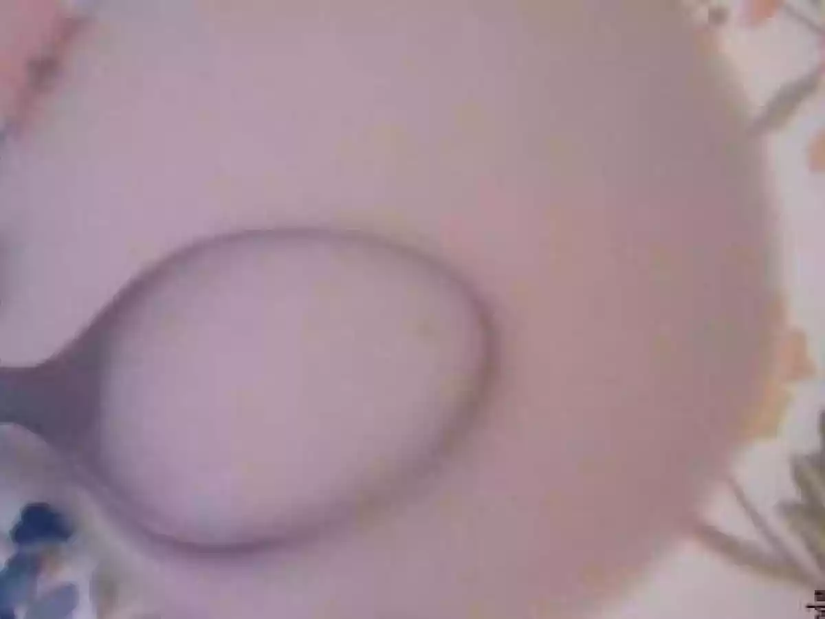 Velouté d'artichauts - photo 5