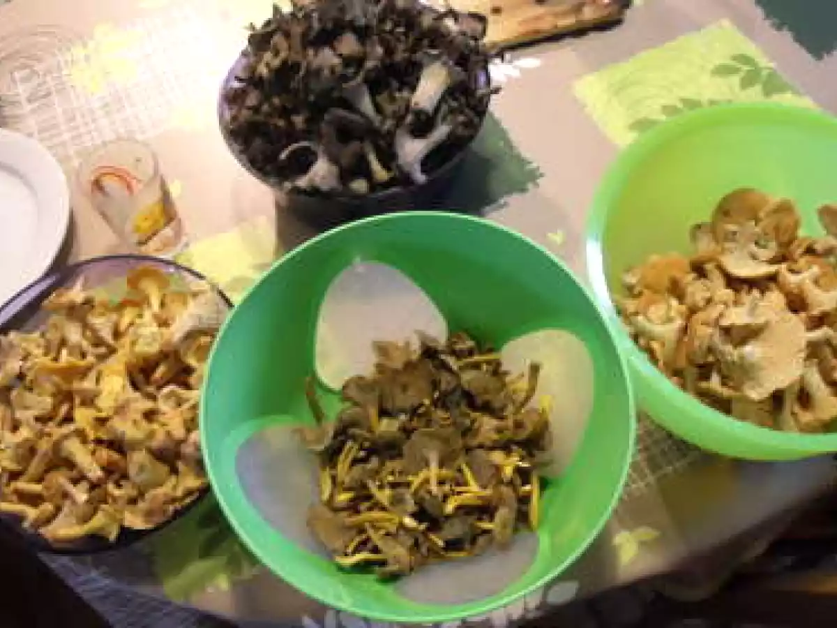 Velouté dautomne aux champignons des bois - photo 2