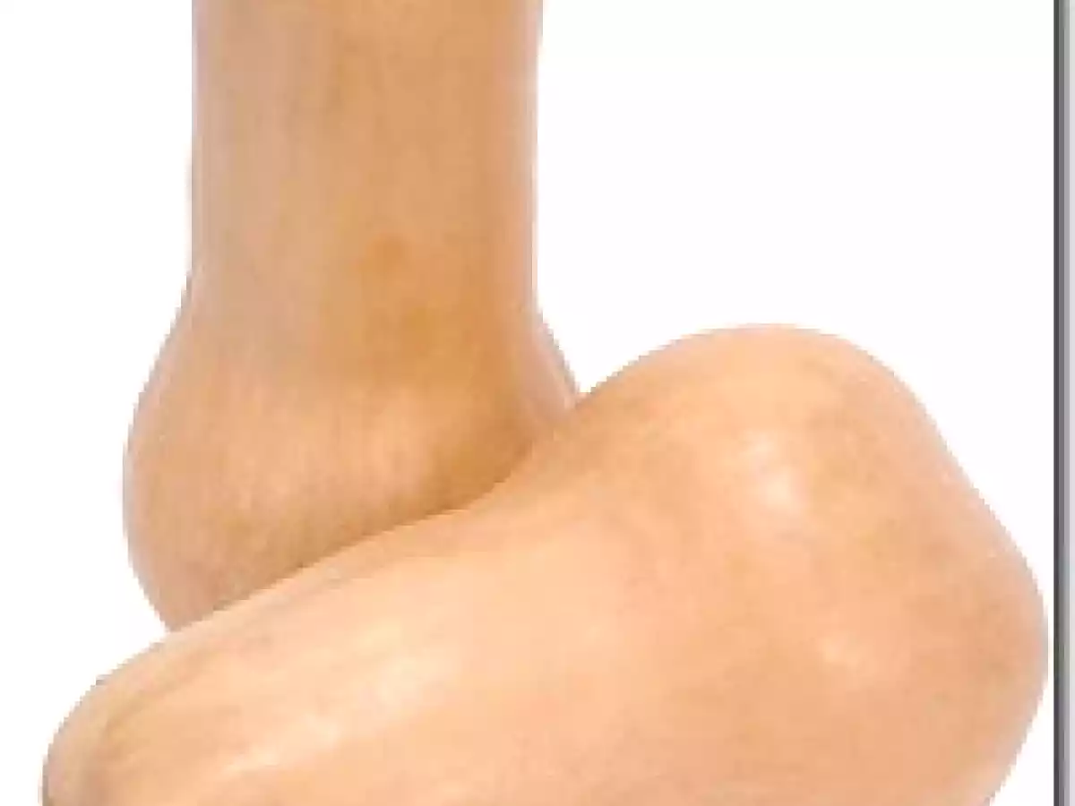 Velouté de Butternut et Graines de Courge - photo 3