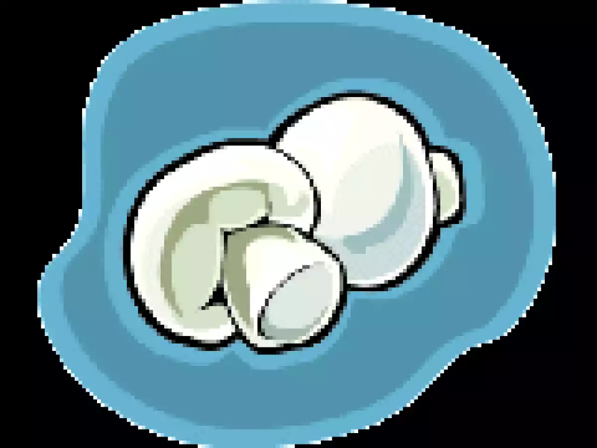 Velouté de Champignons au Thermomix - photo 2