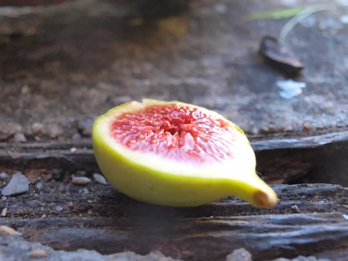 Velouté de courge et potimarron aux champignons des bois et compote de figues au quinoa - photo 5