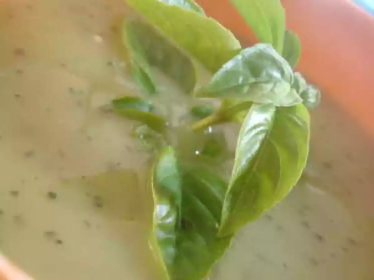 Velouté de courgette au Basilic - photo 2