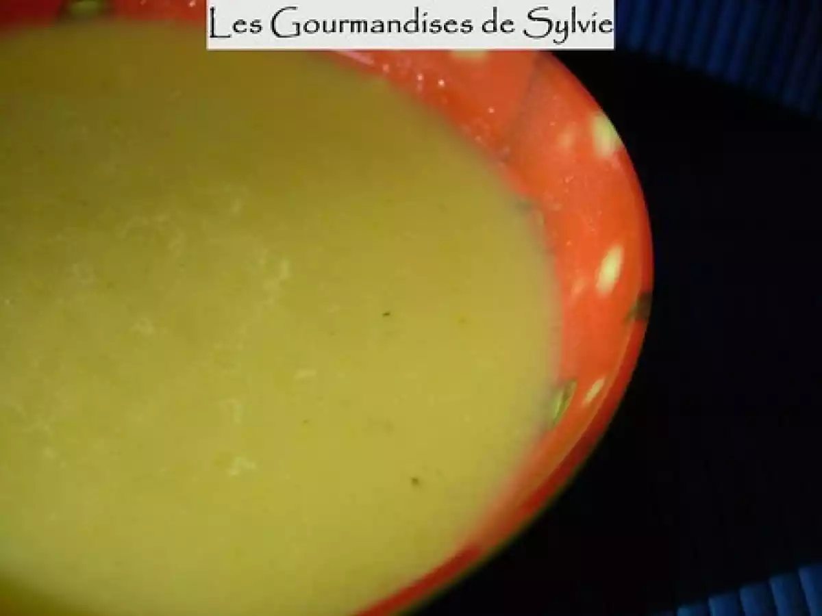 Velouté de Courgettes au Thermomix - photo 2