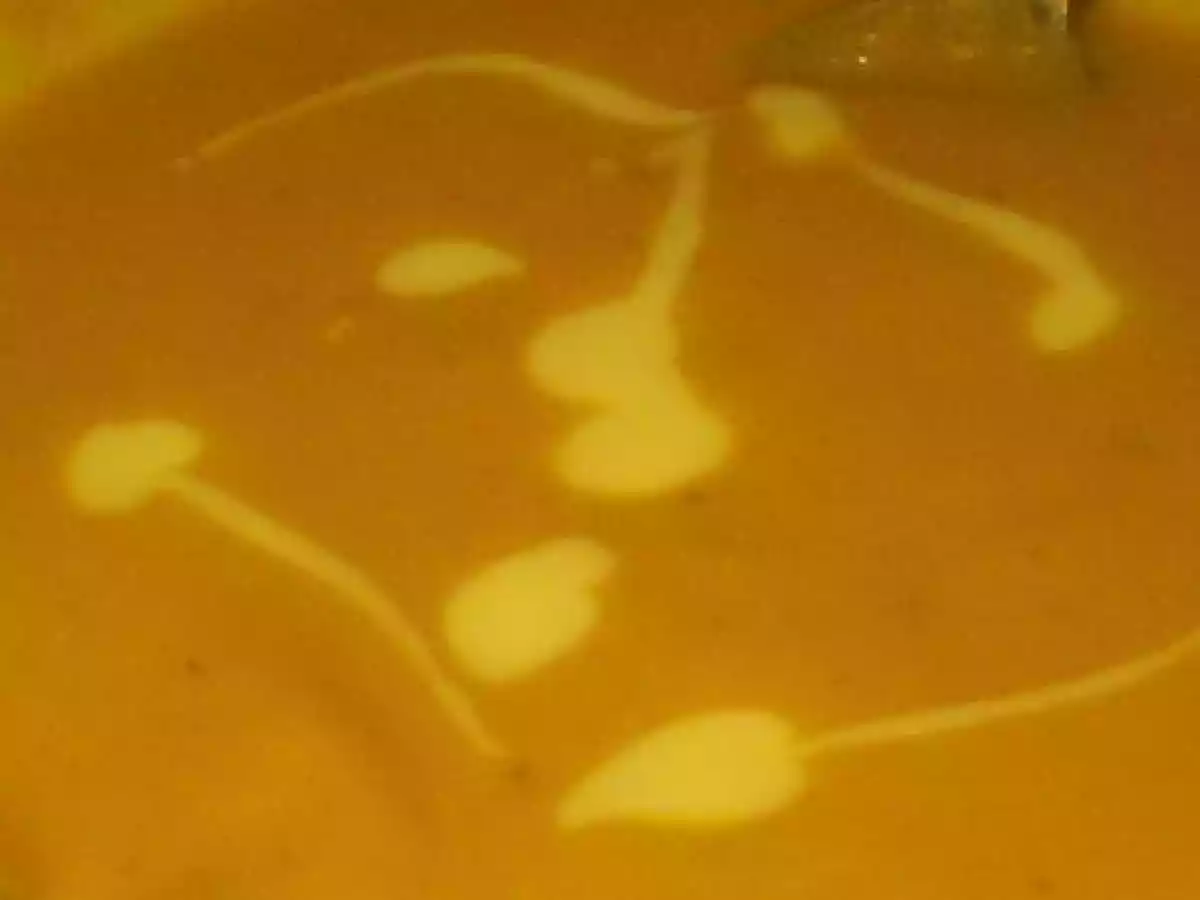 Velouté de panais et carotte épicé - photo 2