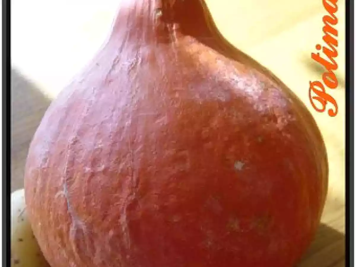 Velouté de potimarron espuma de crème fraîche aux noisettes - photo 6