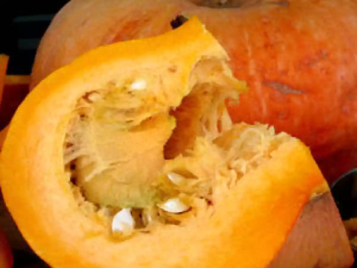 Velouté de potiron à l'orange - photo 2