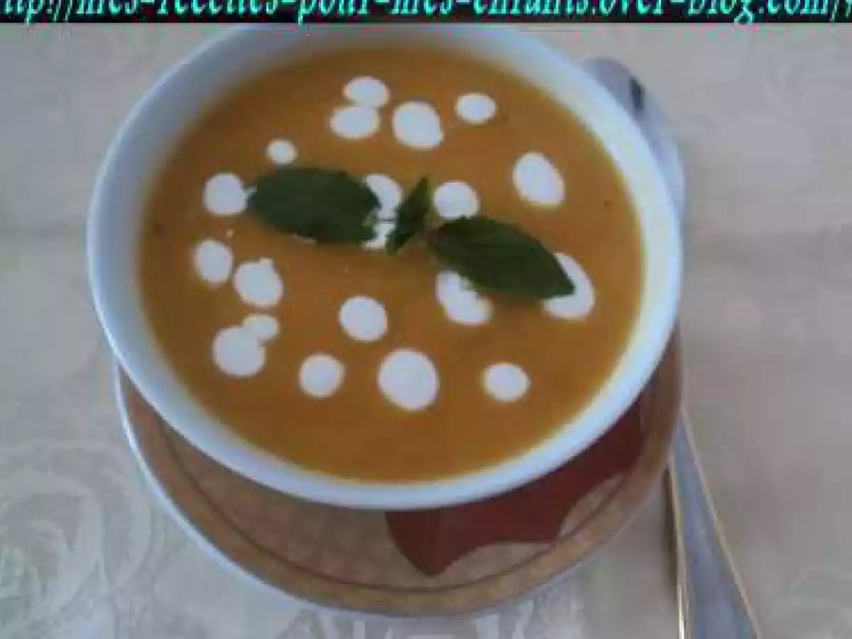 Velouté de potiron et riz