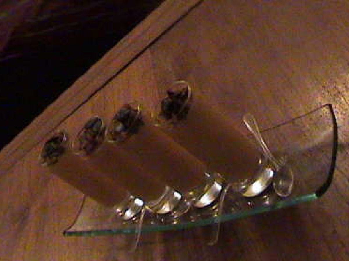 Recette de verrine : crème de potiron épicée