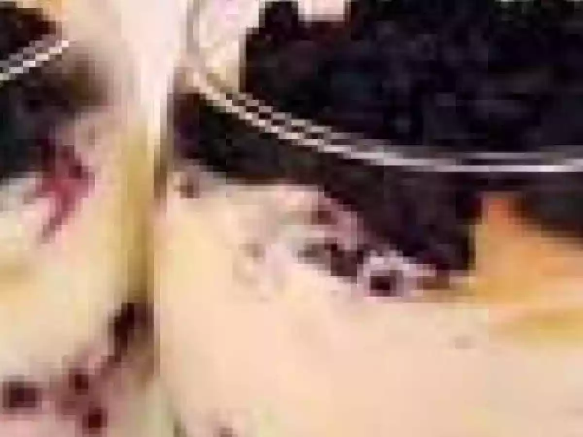 Verrine de myrtilles au mascarpone