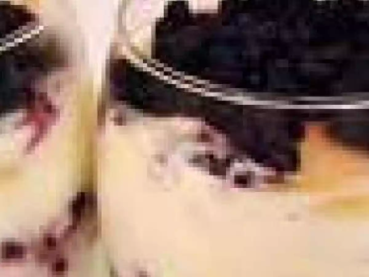 Verrine de myrtilles au mascarpone - photo 3