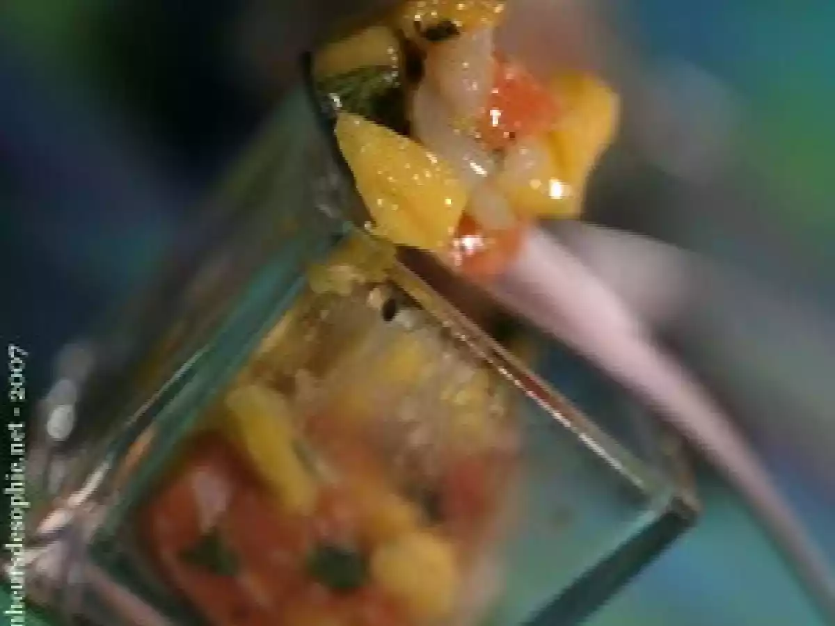 Verrine saint jacques et saumon pour l'apéro - photo 3