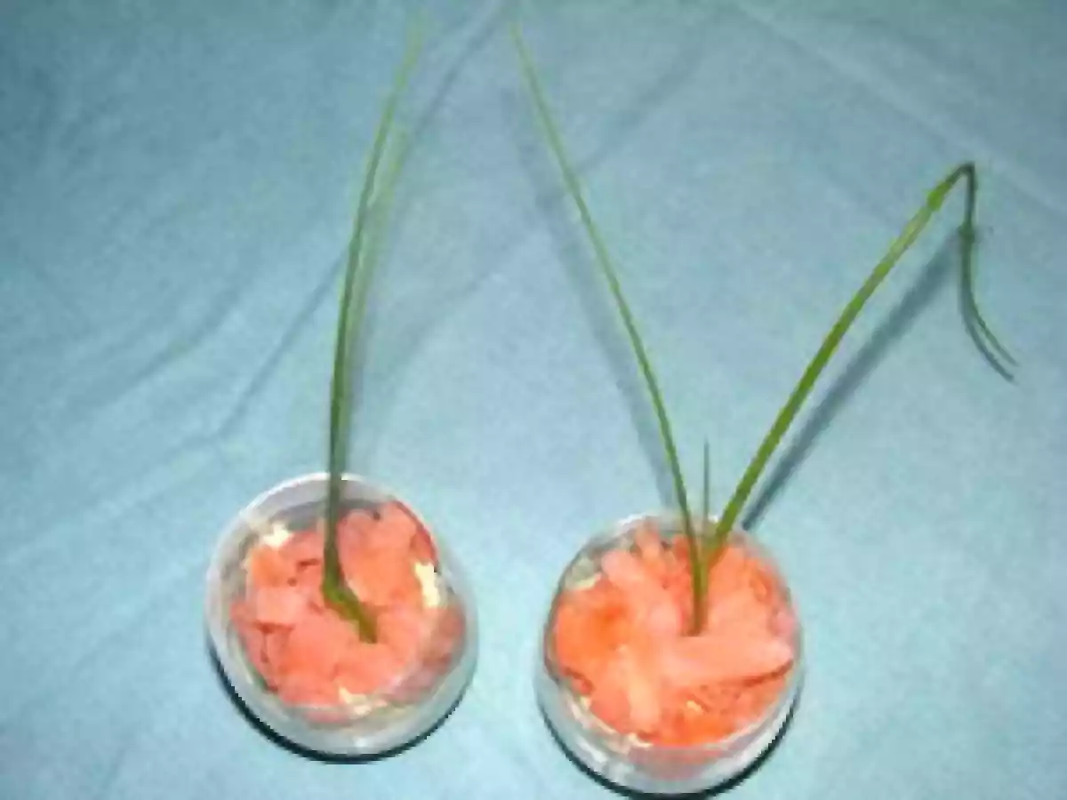 VERRINES ARTICHAUTS-CURCUMA-SAUMON FUMÉ - photo 3