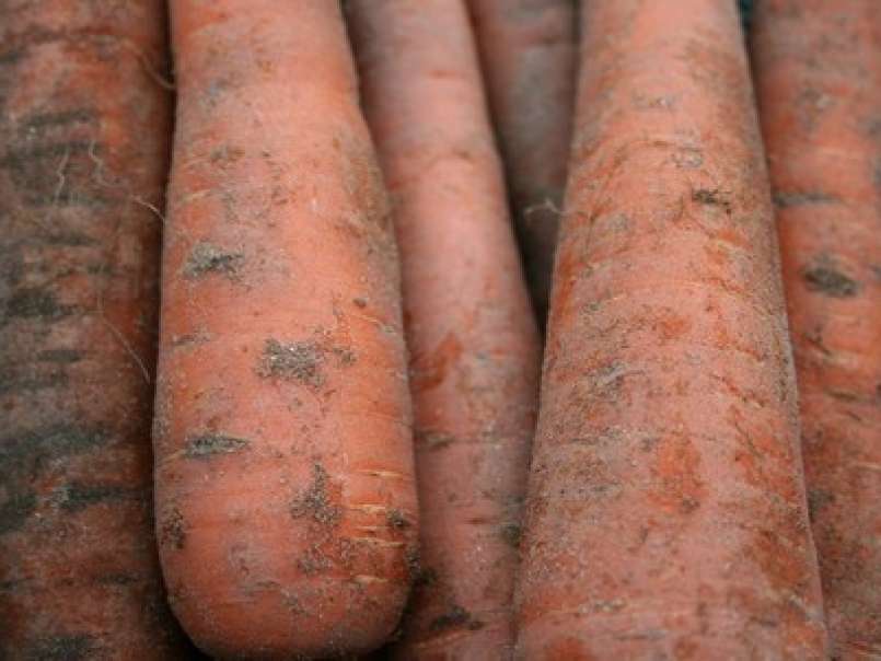 Verrines aux carottes, pesto et endives caramélisées - photo 2