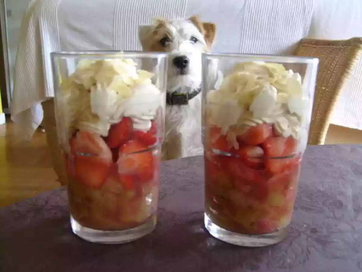 Verrines rhubarbe-fraise et chantilly vanillée