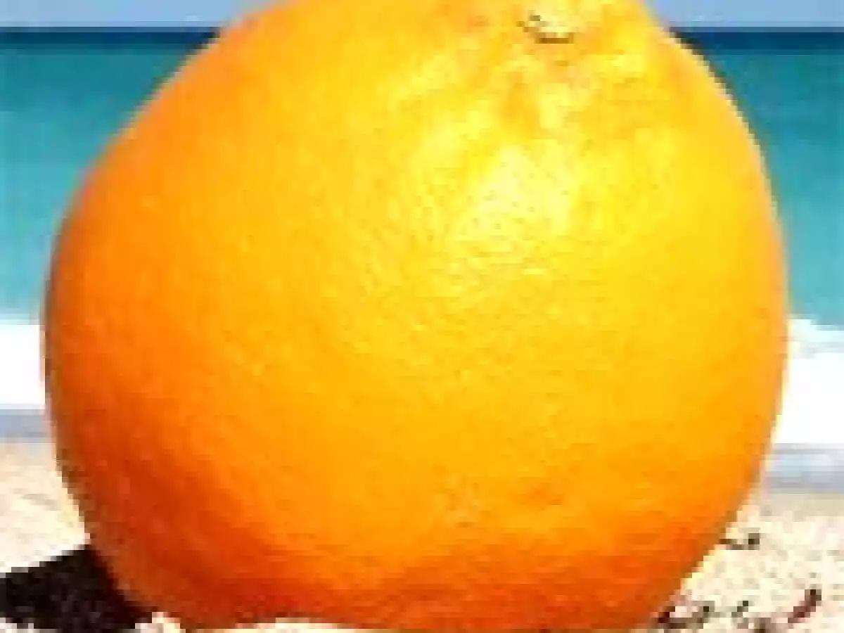 Vinaigrette à l'Orange (pour saumon fumé ou salade de poisson froid) - photo 2