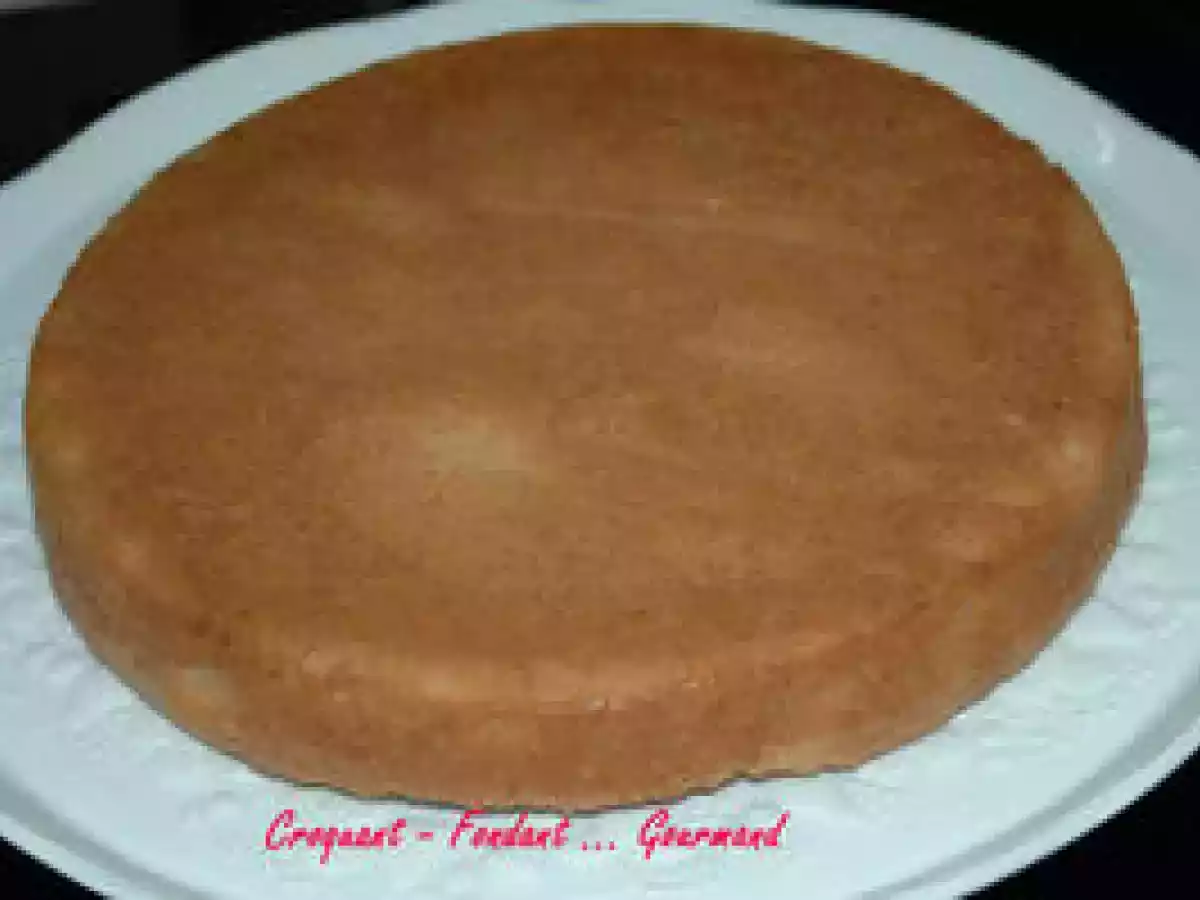 VISITANDINE de MICHEL OLIVER - photo 6