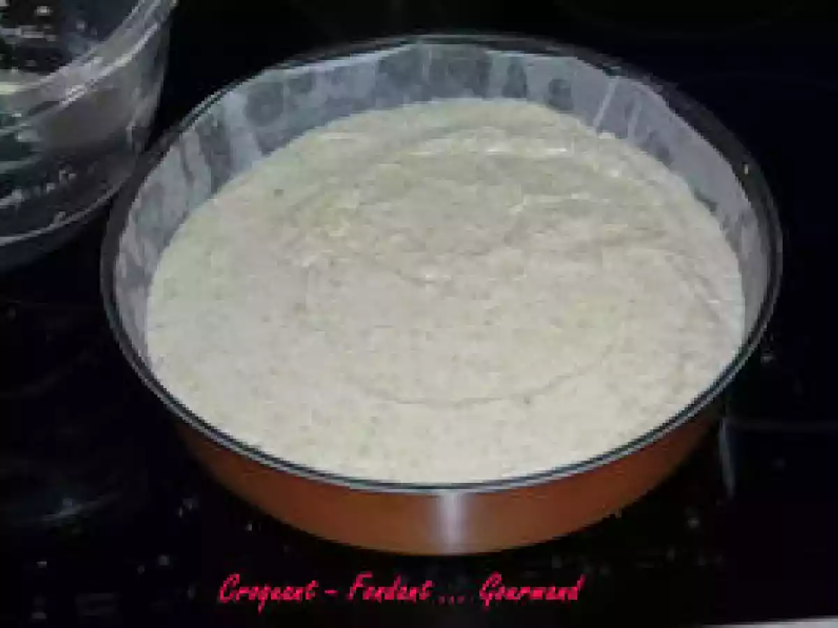 VISITANDINE de MICHEL OLIVER - photo 9