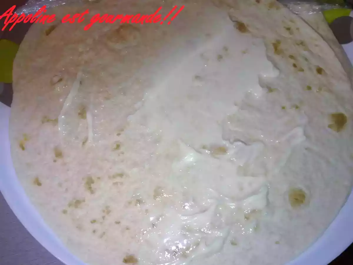 Wrap maison - photo 3