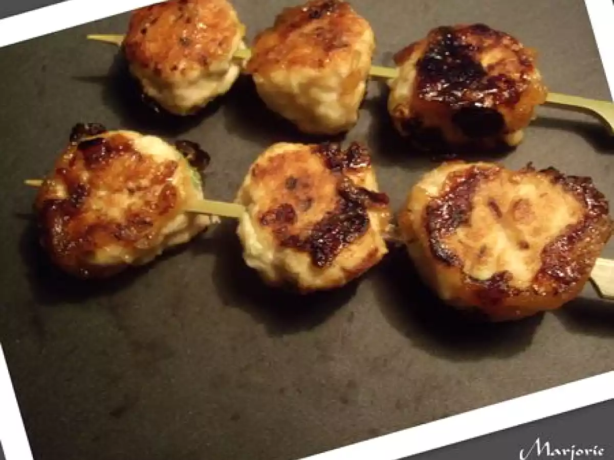 Yakitori de poulet aux oignons nouveaux et blanc de poireau