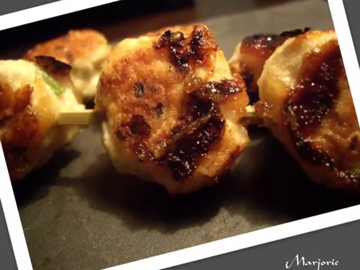 Yakitori de poulet aux oignons nouveaux et blanc de poireau - photo 2