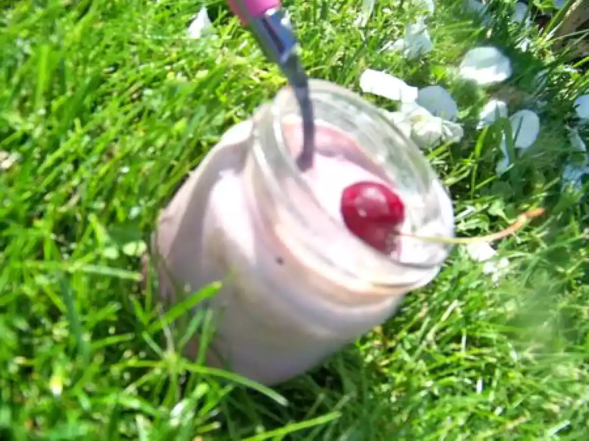 Yaourt a la cerise et amande amére