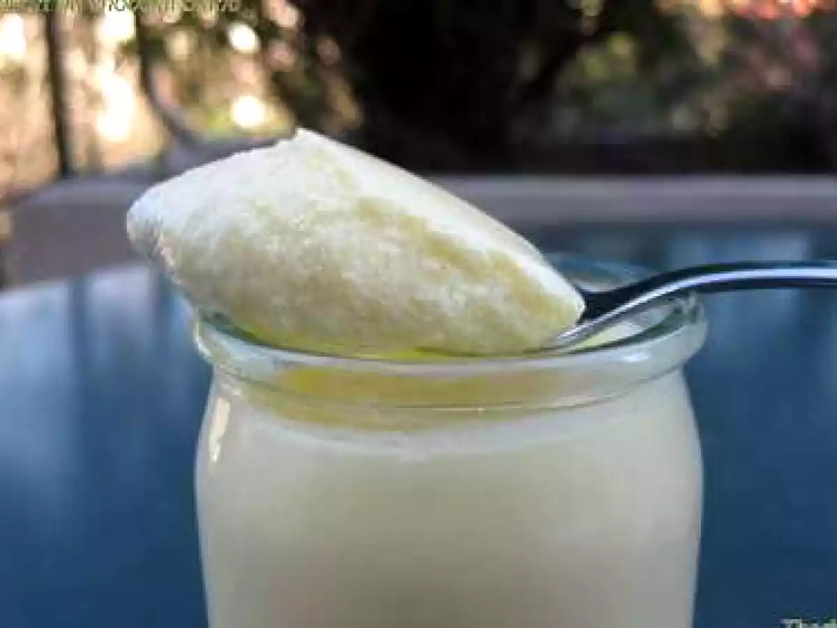 Yaourt à la poudre de chocolat blanc