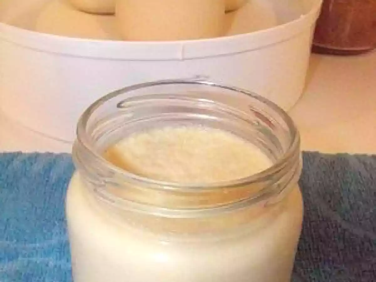 Yaourt au chocolat blanc & noix de coco caramélisée - photo 2