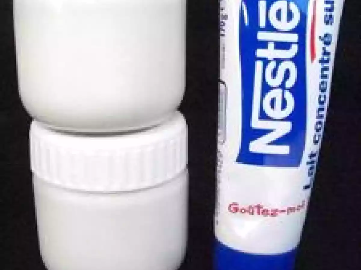 Yaourt au lait concentré sucré