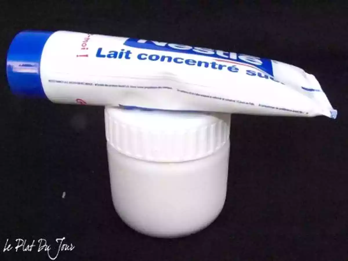 Yaourt au lait concentré sucré - photo 3