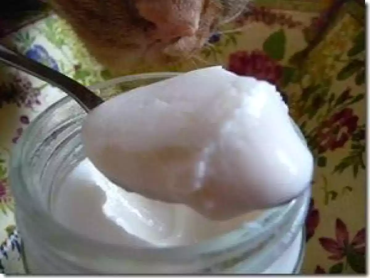 Yaourt au lait de coco - photo 2