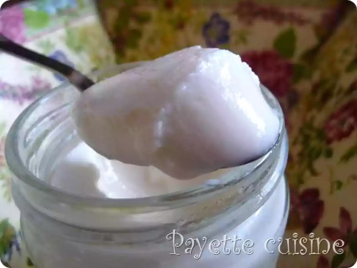 Yaourt au lait de coco - photo 3