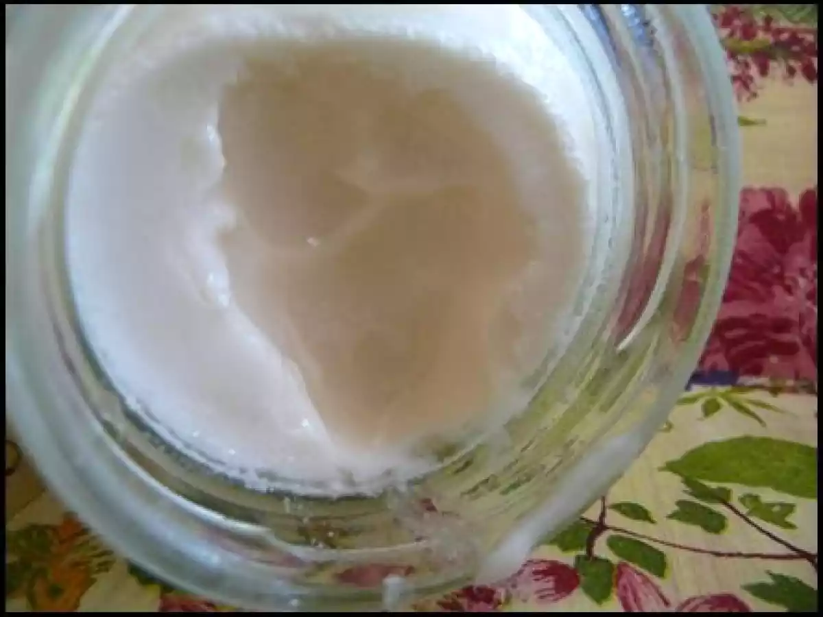 Yaourt au lait de coco - photo 4