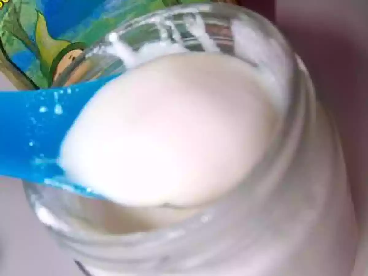 Yaourt au lait végétal d'amande bio!