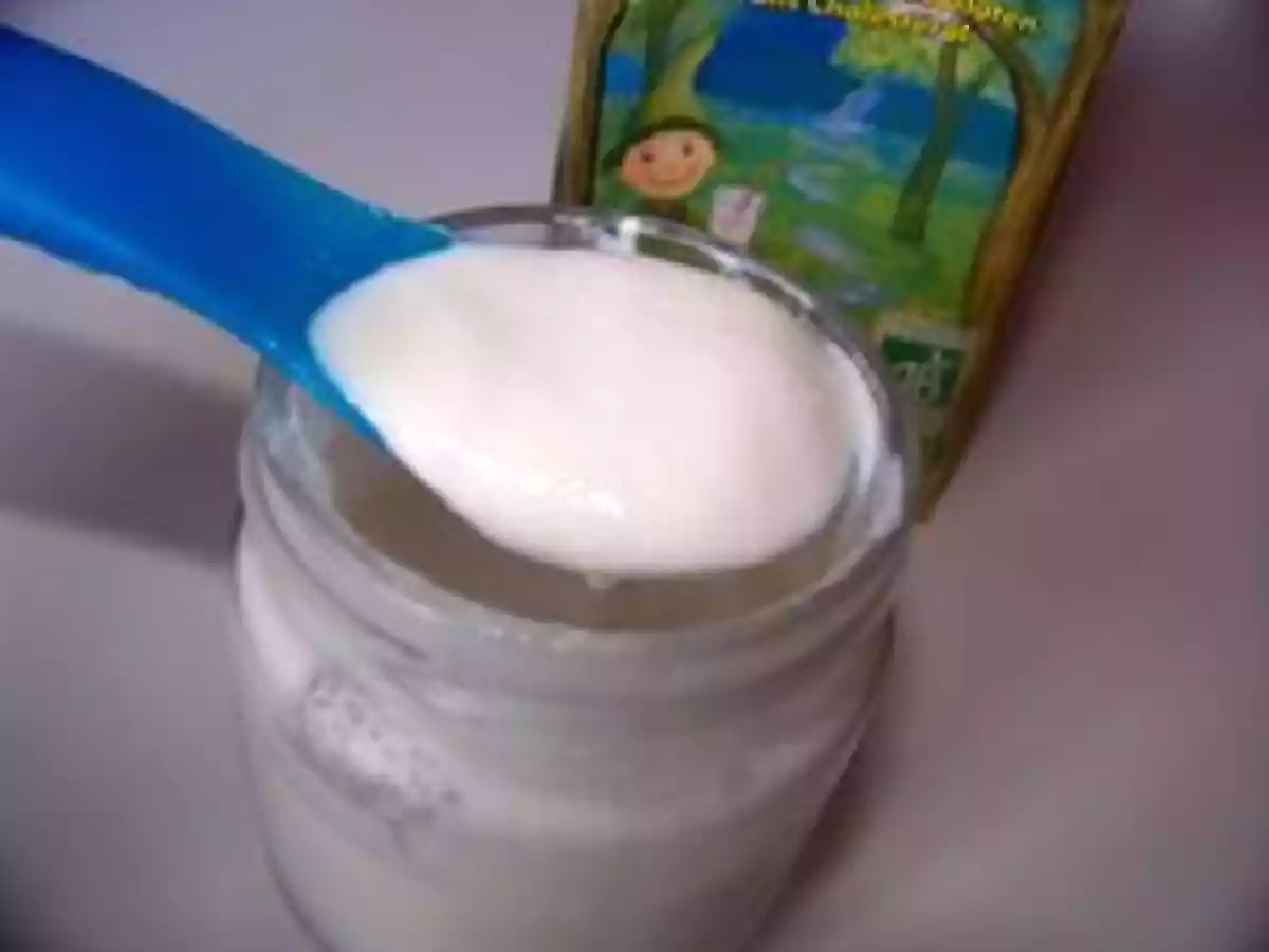 Yaourt au lait végétal d'amande bio! - photo 3