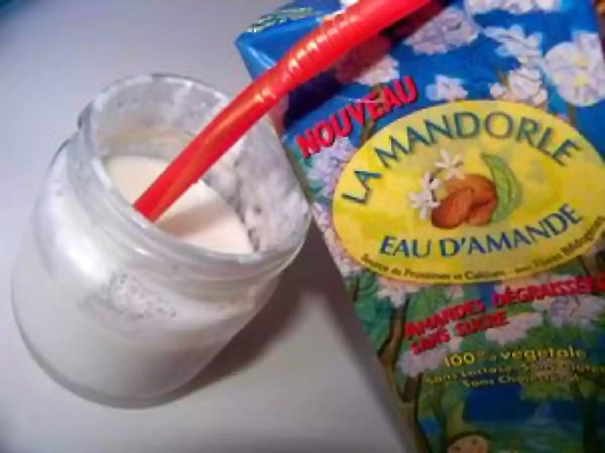 Yaourt au lait végétal d'amande bio! - photo 4