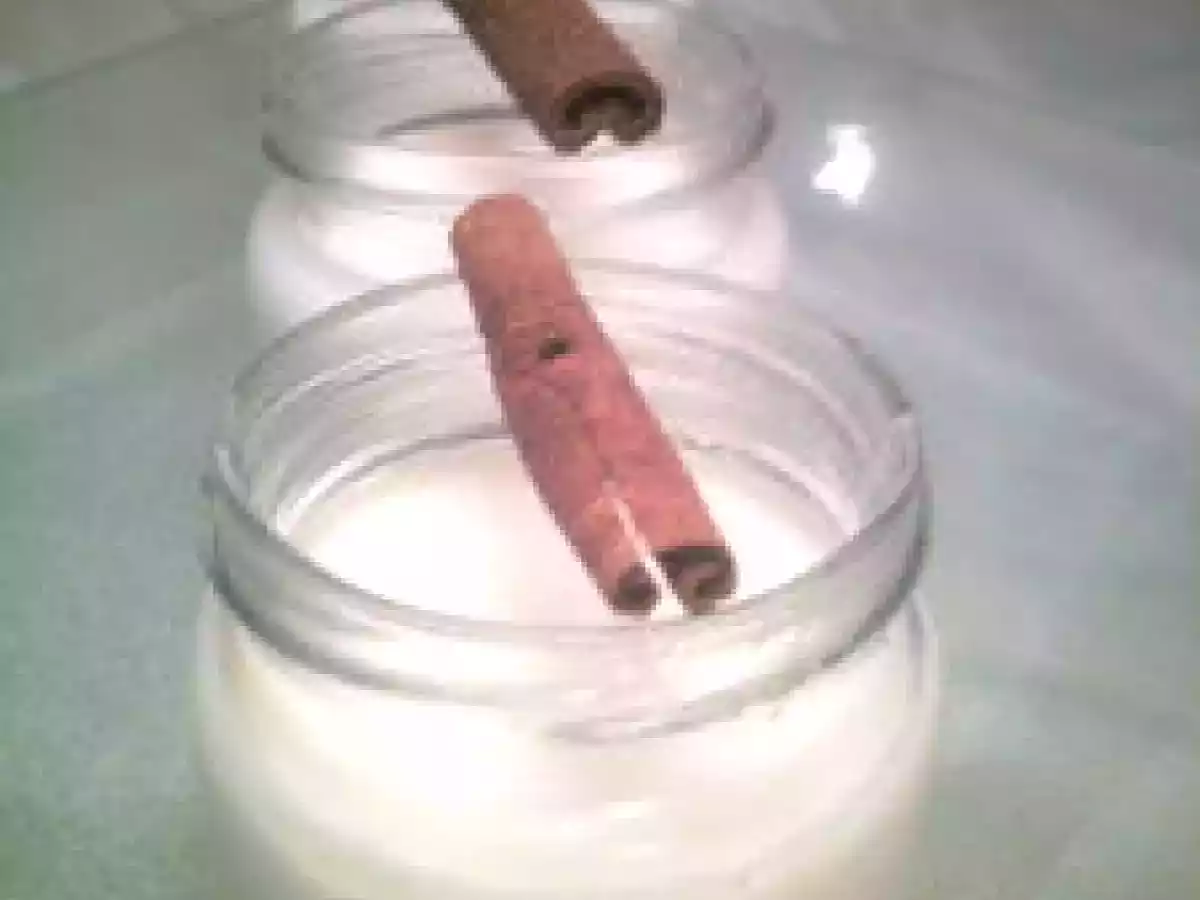 Yaourt au miel et à la cannelle