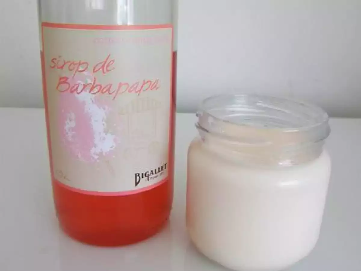 Yaourt au sirop de Barbapapa - photo 2