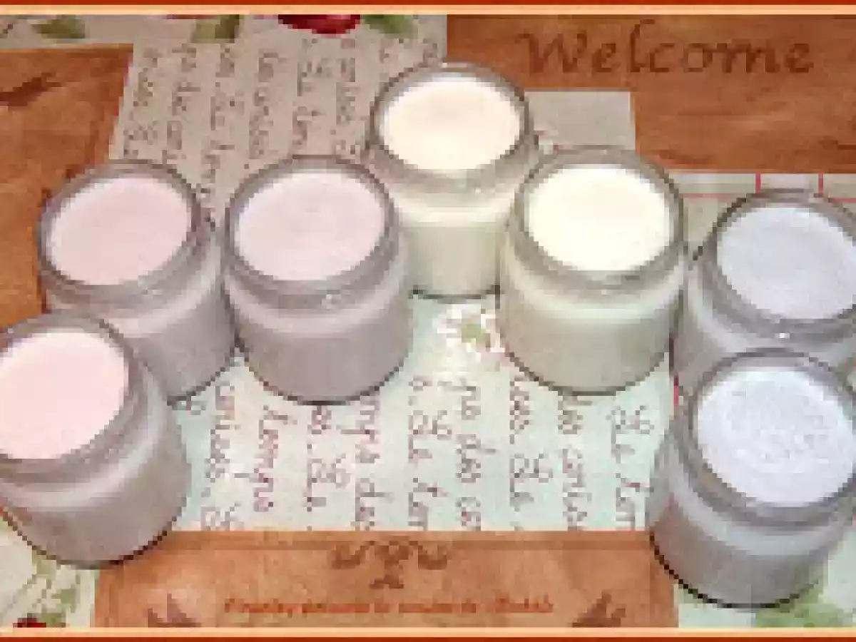 Yaourt au sirop de fruit - photo 2