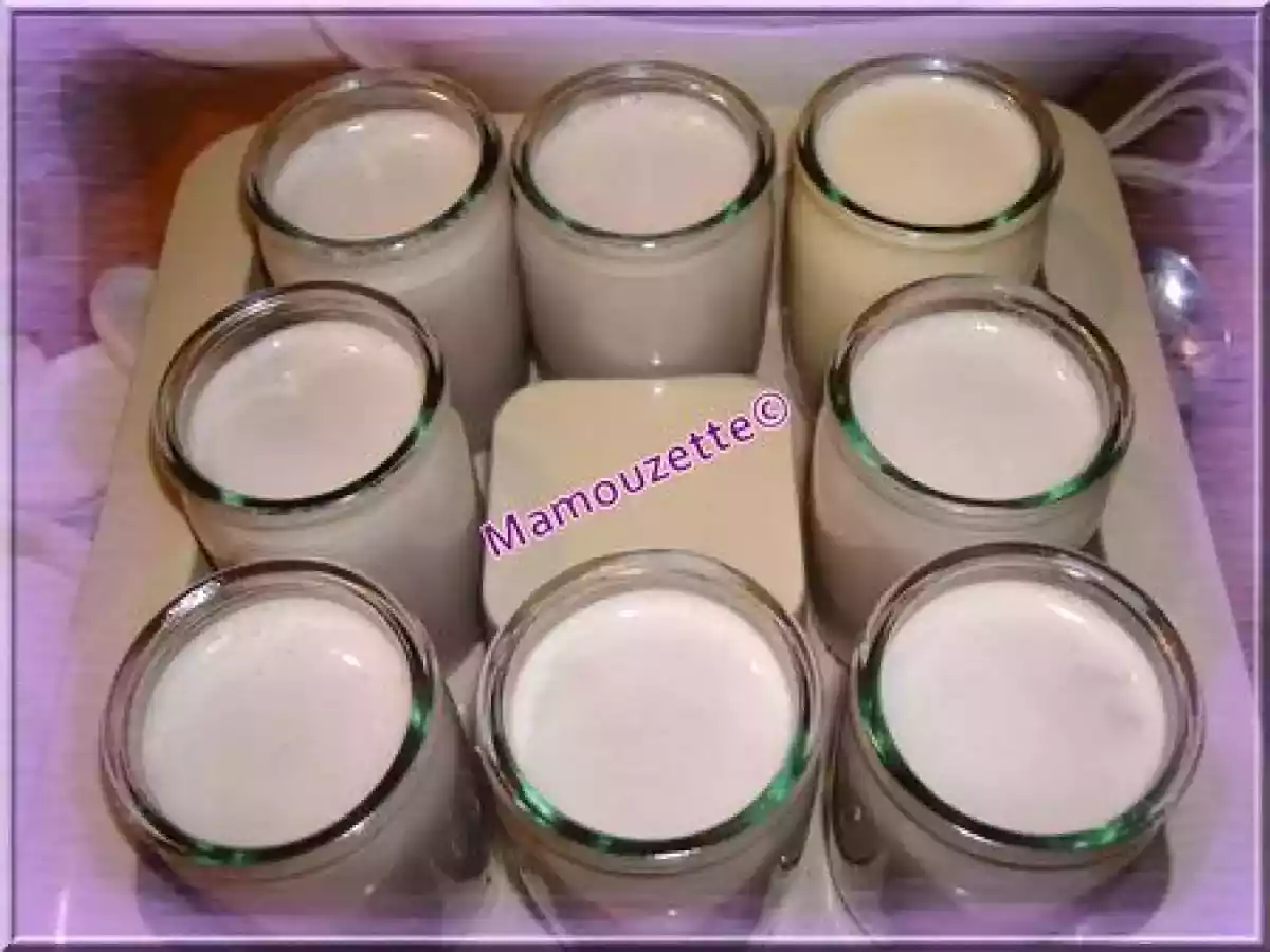 Yaourt au sirop de violette - photo 3