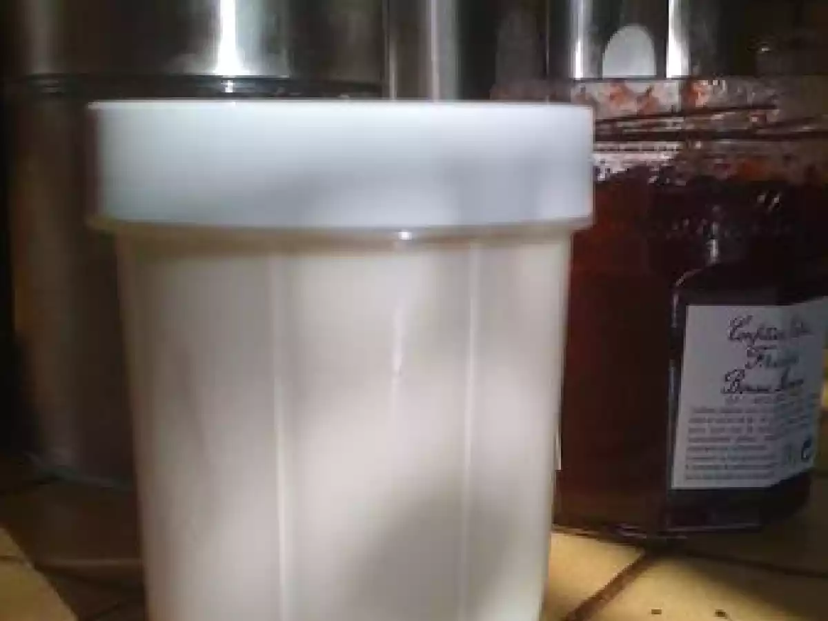 Yaourt coco sucré - photo 2