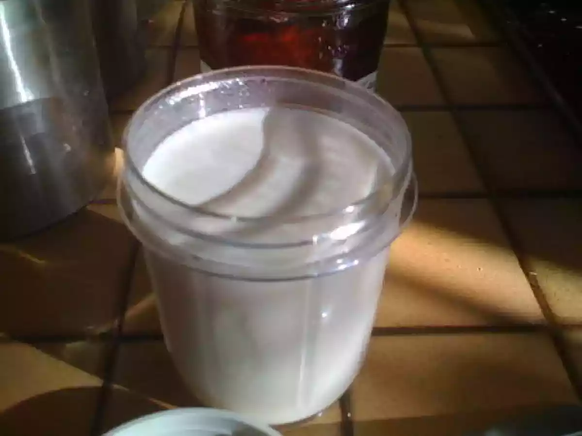 Yaourt coco sucré - photo 3