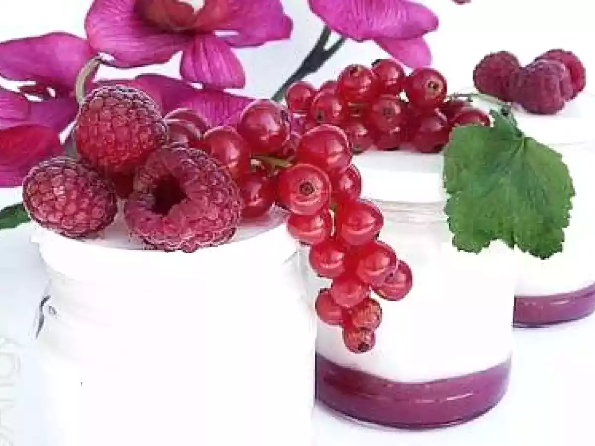 Yaourt framboises et groseilles