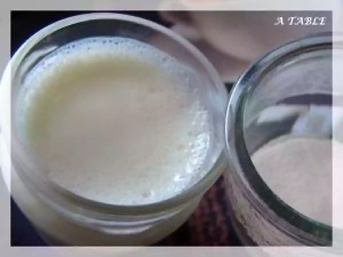 YAOURT MAISON AVEC 0% DE MATIERE GRASSE A L'AGAR-AGAR