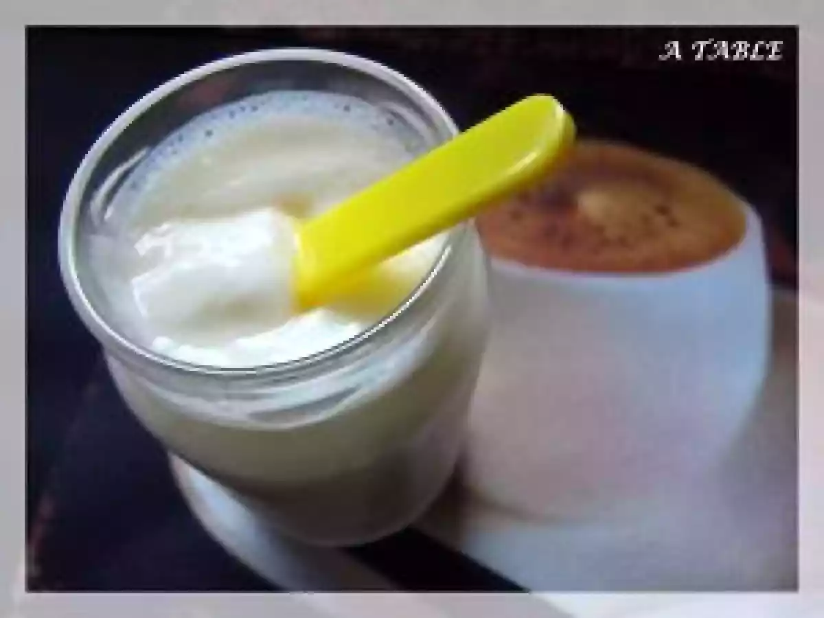 YAOURT MAISON AVEC 0% DE MATIERE GRASSE A L'AGAR-AGAR - photo 2